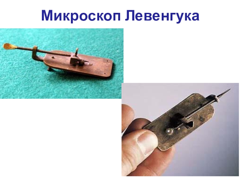 Микроскоп левенгука