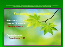 Презентация Геометрия в природе