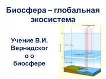 Презентация по биологии на тему Биосфера