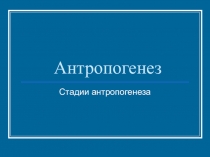 Презентация по биологии на тему Антропогенез. Стадии антропогенеза (11 класс)