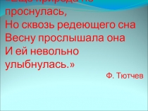 Презентация к уроку Действия с десятичными дробями 5 класс