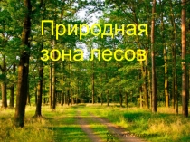 Урок Окружающий мир 4 класс УМК Школа России презентация на тему Леса России