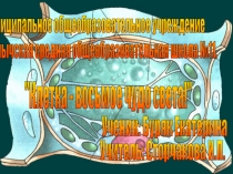 Обобщение и распространение актуального педагогического опыта