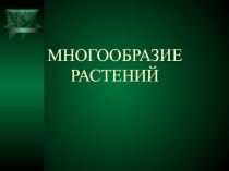 Презентация по окружающему миру