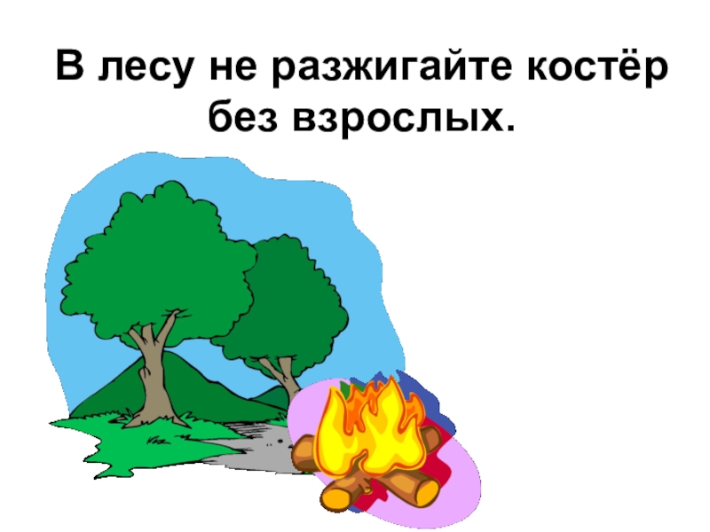 Картинка не разжигай костер в лесу