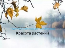 Презентация к уроку окружающего мира красота растений