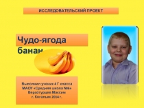 Исследовательский проект Чудо-ягода банан (4 класс)