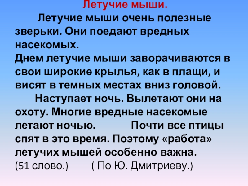 Летучие мыши.