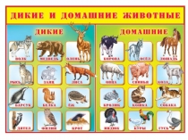 Урок-презентация по развитию речи на тему  Сравнение зайца и кролика(2 коррекционный класс)