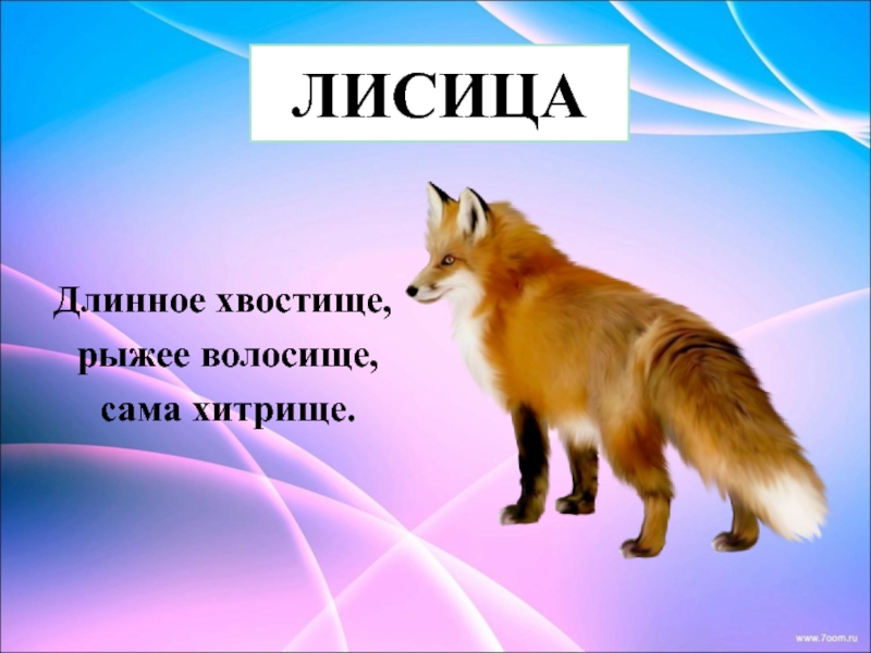 Слово лисица. Длинное хвостище рыжее волосище сама хитрище. Длинное хвостище, рыжее волосище, сама хитрища.. Длинное хвостище рыжее.