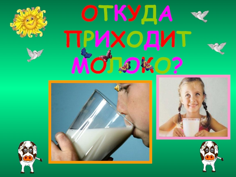 Откуда молоко. Откуда берется молоко. Откуда пришло молоко. Откуда берется молоко для детей. Откуда к нам пришло молоко.