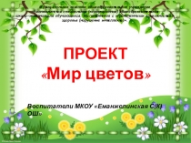 Проект - презентация Мир цветов