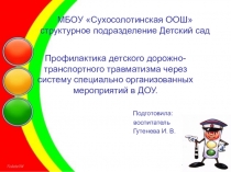 Презентация опыта работы по профилактике детского дорожно-транспортного травматизма в ДОУ