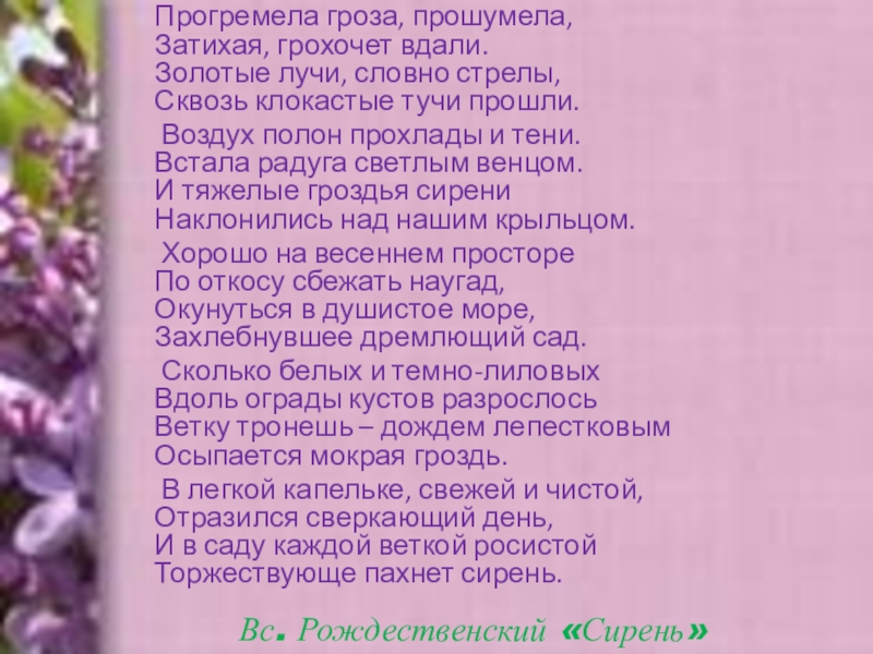 Подготовка к сочинению по картине кончаловского сирень в корзине 5 класс презентация