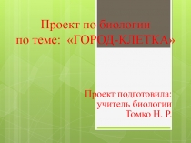 Презентация к проекту на тему ГОРОД-КЛЕТКА