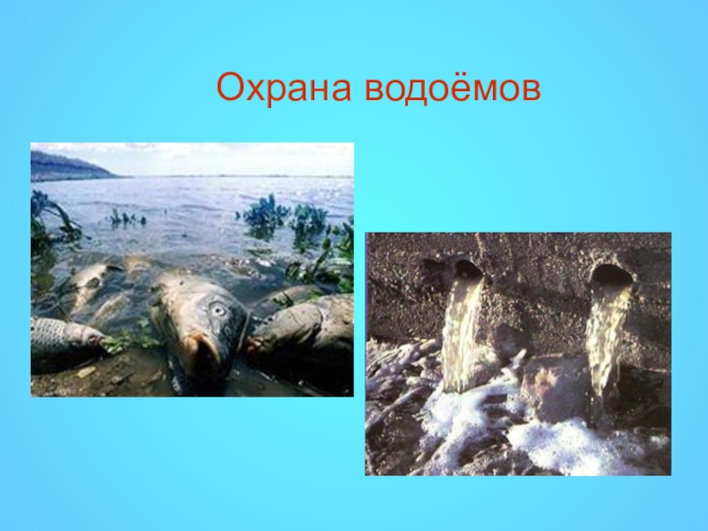 Охрана водохранилищ. Охрана водоемов Краснодарского края. Охрана водоемов презентация. Проект защита водоемов. Охрана водоёмов от загрязнения.