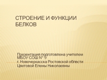 Презентация по химии на тему Строение и функции белков (10 класс)