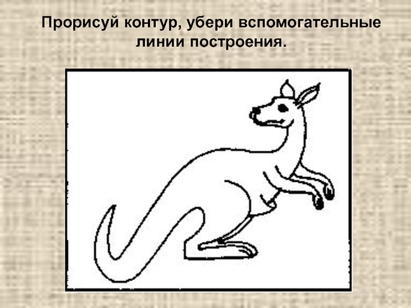 Контур удаленный. Схема прыжков кенгуру. Траектория прыжка кенгуру. Схема слова кенгуру. Кенгуру схема овалами.