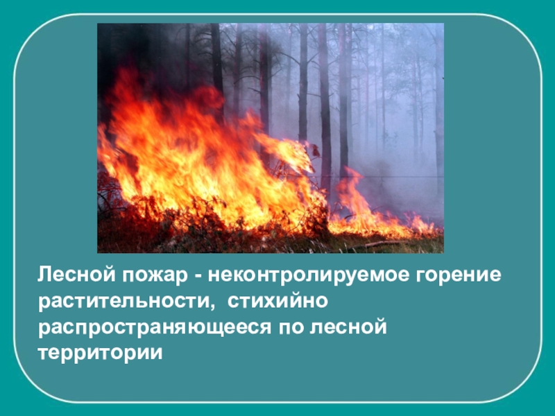 Характеристика лесных пожаров обж
