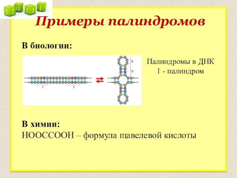 Палиндром биология