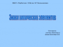 Презентация Химические элементы 8 кл