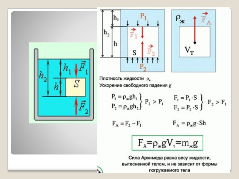 Как изменяется сила архимеда. Формула архимедовой силы 7 класс физика. Архимедова сила физика 7 класс. 7 Кл физика Архимедова сила. Сила Архимеда от плотности жидкости.
