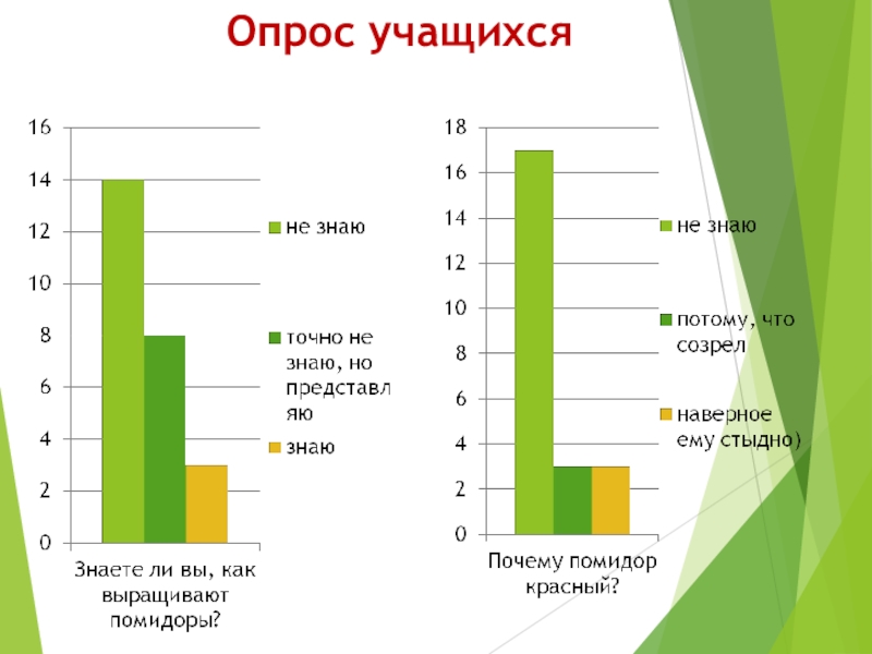 Диаграмма опрошенных. Опрос учащихся. График опроса учеников. Опрос школьники. Перекрестный опрос учащихся.