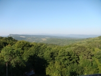 Презентация по теме Животные Адыгеи