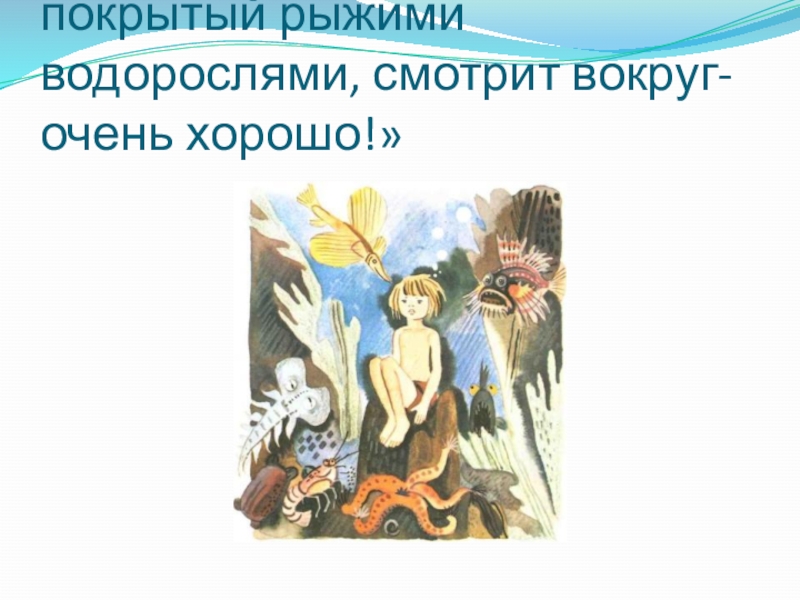 «Сел на камень, мягко покрытый рыжими водорослями, смотрит вокруг- очень хорошо!»