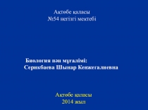 Тамыр. Тамыр түрлері. Тамыр жүйелері