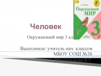 Презентация по окружающему миру Человек (3 класс)