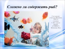 Презентация по окружающему миру Сложно ли содержать рыб?