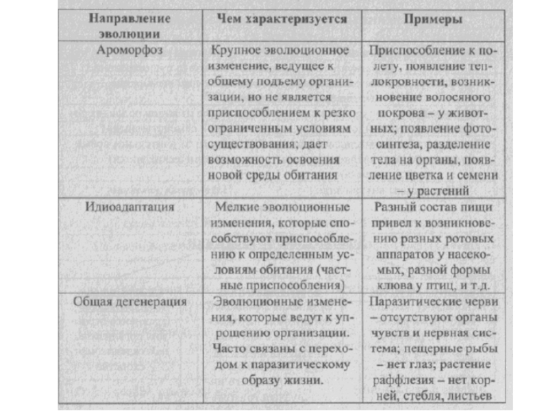 Главные направления эволюции 9 класс презентация