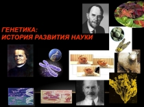 Презентация по биолошии Генетика 9 класс