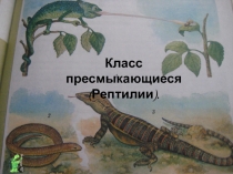 Презентация по биологии на тему Класс Пресмыкающиеся (7 класс)