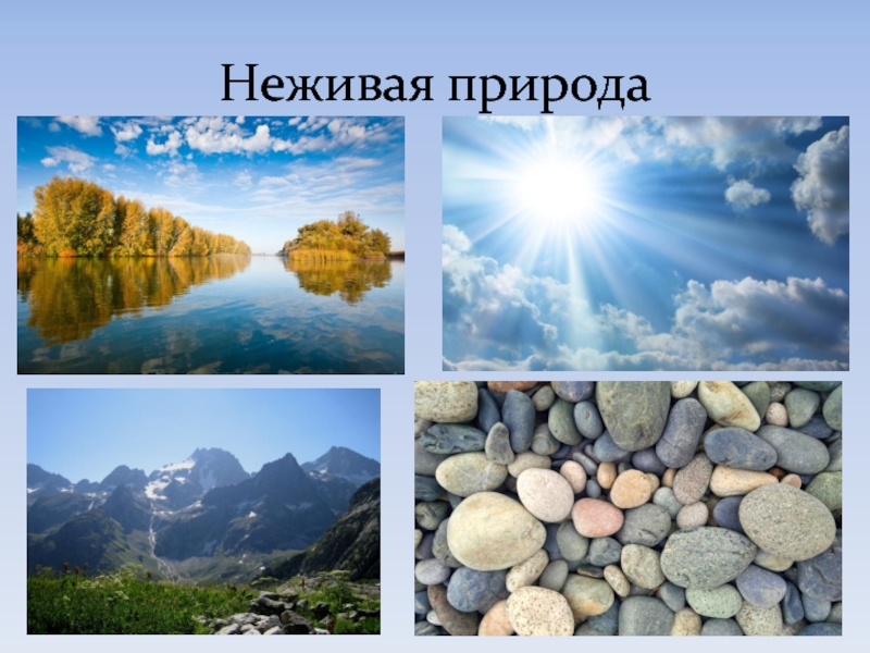 Вода это неживая природа. Неживая природа. Объекты неживой природы. Предметы неживой природы. Объекты неживой природы для дошкольников.