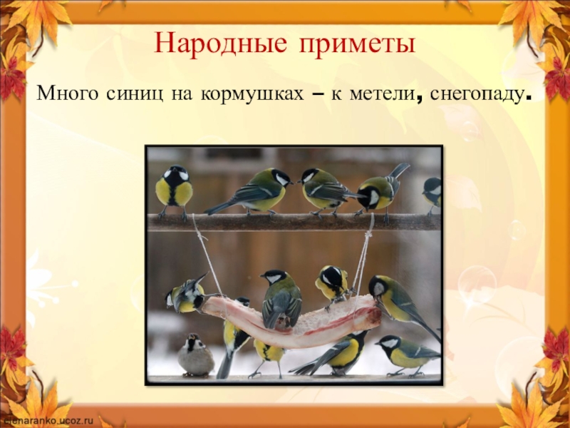 народных примет о погоде. народные приметы изменения погоды. народные приметы о пчёлах. народные приметы про людей. народные приметы много.