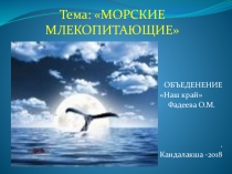 Презентация для объединения Наш край Морские млекопитающие