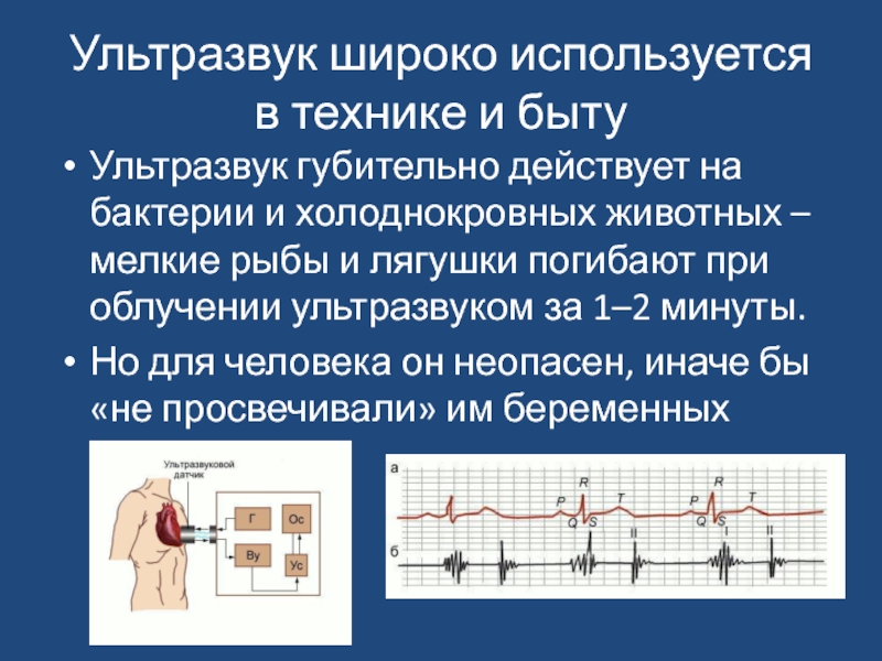 Использование ультразвука в технике и медицине. Ультразвук широко используется в. Звуковые явления возникающие при работе сердца регистрирует.