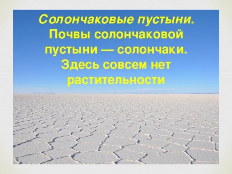 Пустыни окружающий. Солончаковые пустыни. Солончаковые пустыни характеристика. Испаряемость солончака. Солончаки зоны пустынь.