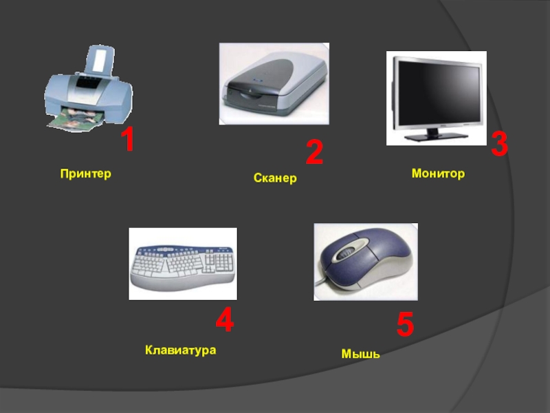 Сканер монитор. Системный блок монитор принтер сканер модем мышь клавиатура. Клавиатура мышь сканер. Монитор принтер клавиатура монитор. Мышь клавиатура монитор принтер.