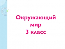 Презентация по окружающему миру на тему Животноводство