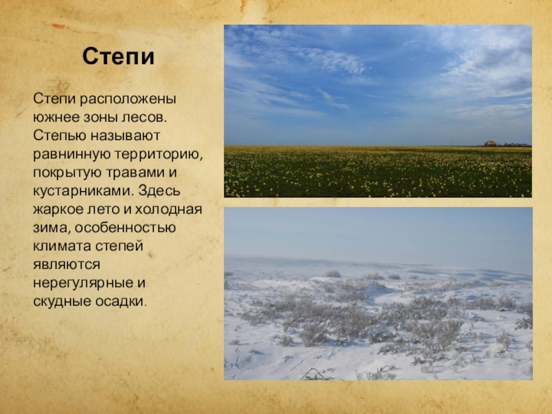 В россии зона степей расположена. Климат степи.