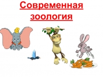 Презентация по биологии на тему Современная зоология
