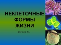 Презентация Неклеточные формы жизни 6 класс