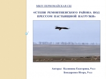 Презентация по экологии Степи Ремонтненского района под прессом пастбищной нагрузки