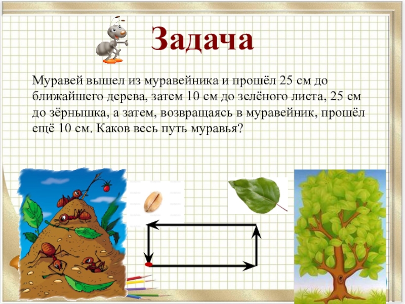 Вышли из задач. Задача про муравьев. Задания про муравьев. Задание муравей. Задание с муравьишкой.