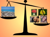 Презентация по биологии на тему Разнообразие живой природы. Царства живых организмов. Отличительные признаки живого от неживого