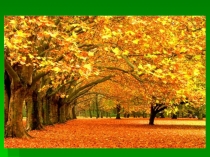 Презентация к уроку окружающего мира  Разнообразие растений