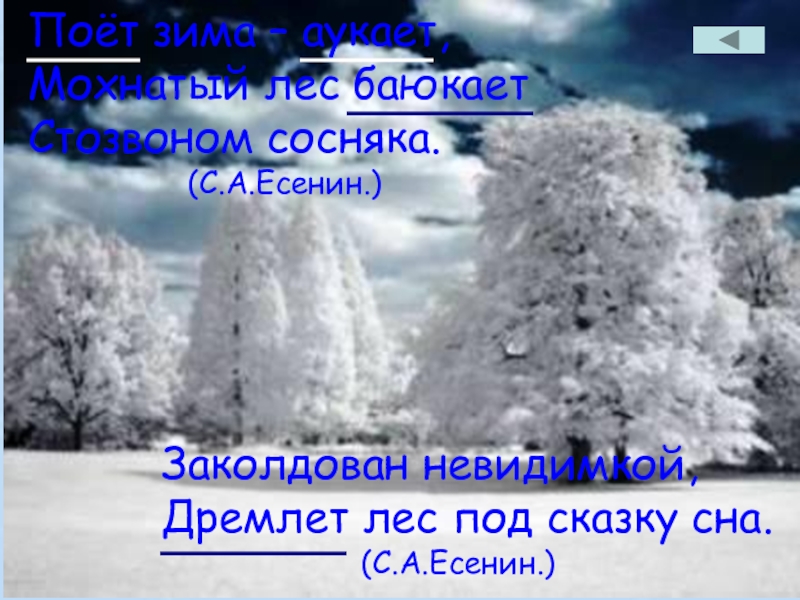 С есенин поет зима аукает с есенин береза презентация